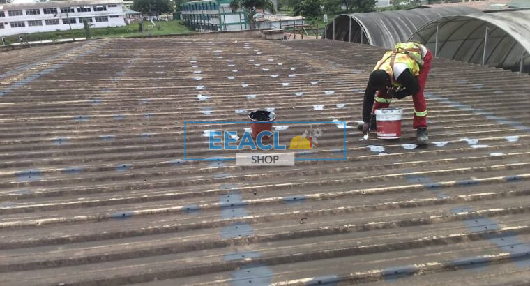 Treatment – Roof Leakages